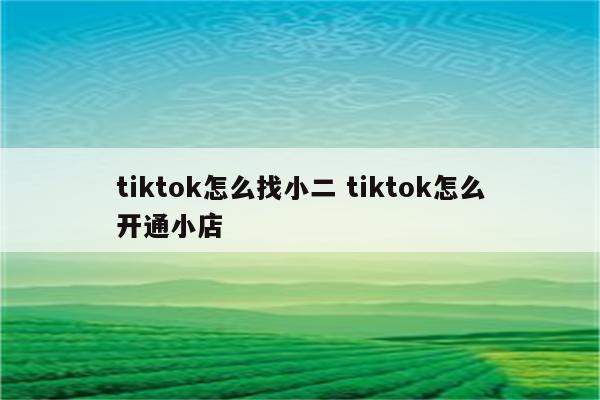 tiktok怎么找小二 tiktok怎么开通小店