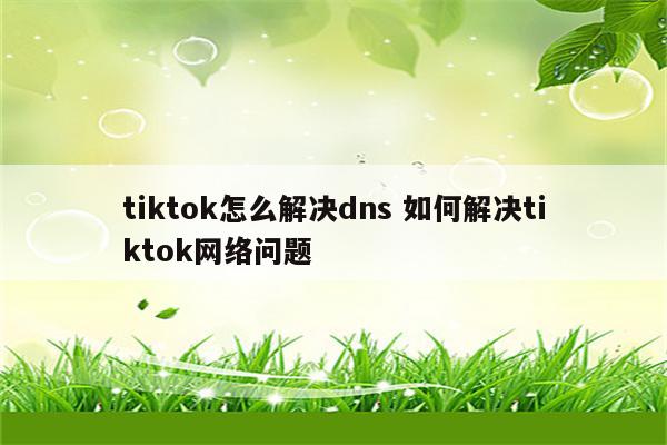 tiktok怎么解决dns 如何解决tiktok网络问题