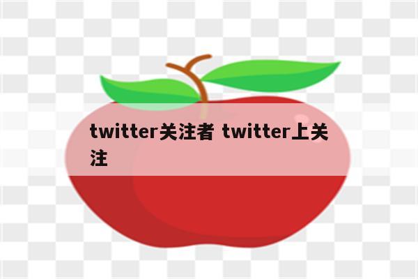 twitter关注者 twitter上关注