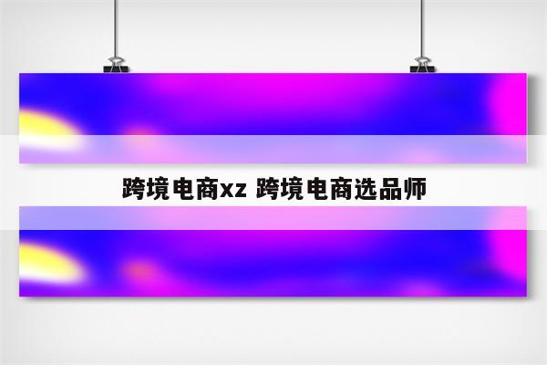 跨境电商xz 跨境电商选品师