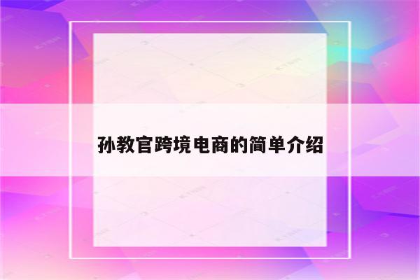 孙教官跨境电商的简单介绍