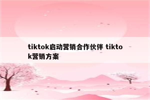 tiktok启动营销合作伙伴 tiktok营销方案