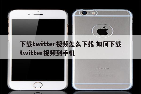 下载twitter视频怎么下载 如何下载twitter视频到手机