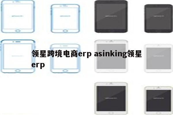 领星跨境电商erp asinking领星erp