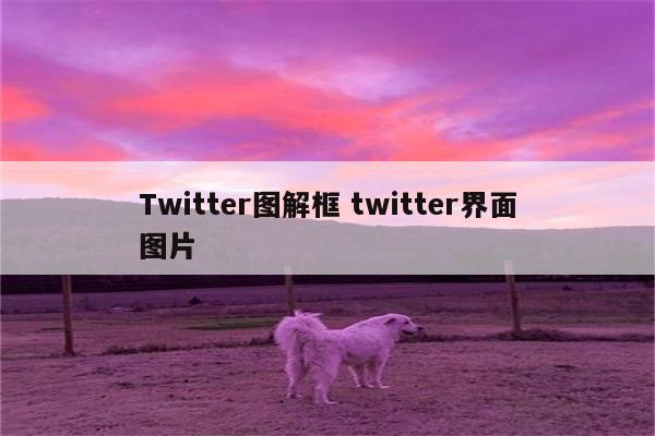 Twitter图解框 twitter界面图片