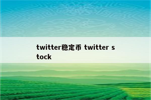 twitter稳定币 twitter stock