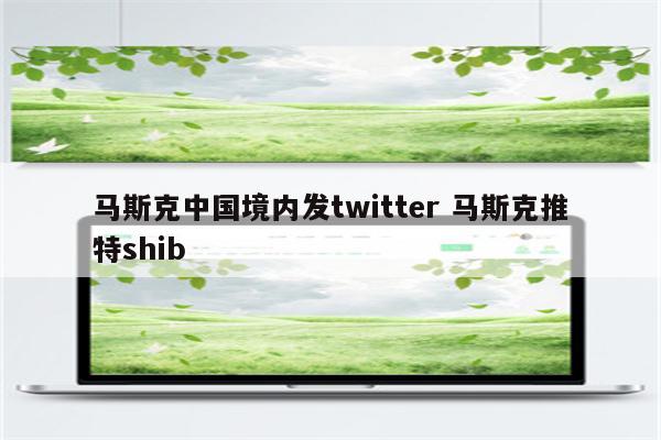 马斯克中国境内发twitter 马斯克推特shib