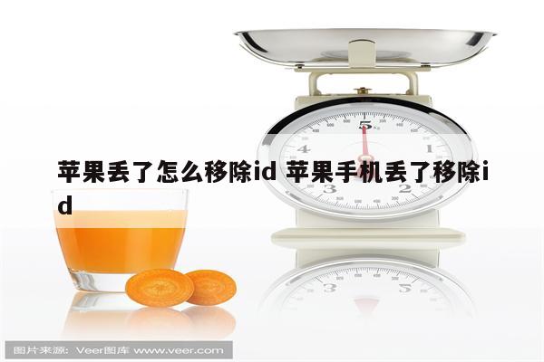 苹果丢了怎么移除id 苹果手机丢了移除id