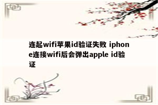 连起wifi苹果id验证失败 iphone连接wifi后会弹出apple id验证