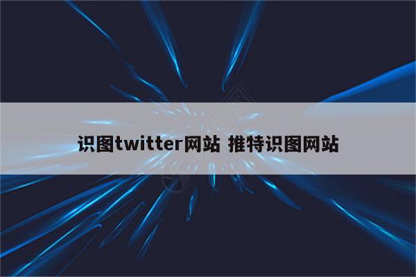 识图twitter网站 推特识图网站