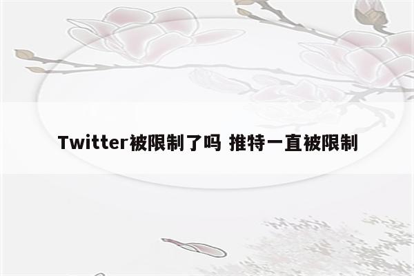 Twitter被限制了吗 推特一直被限制