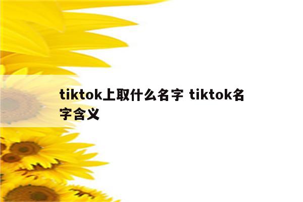 tiktok上取什么名字 tiktok名字含义