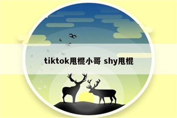 tiktok甩棍小哥 shy甩棍