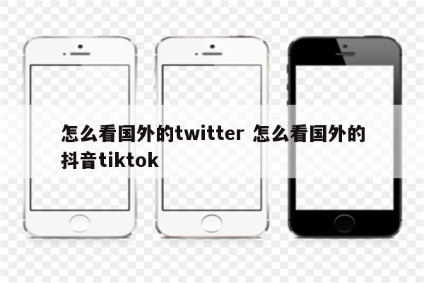 怎么看国外的twitter 怎么看国外的抖音tiktok