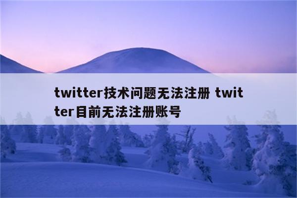 twitter技术问题无法注册 twitter目前无法注册账号