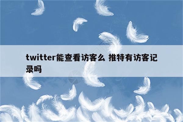 twitter能查看访客么 推特有访客记录吗