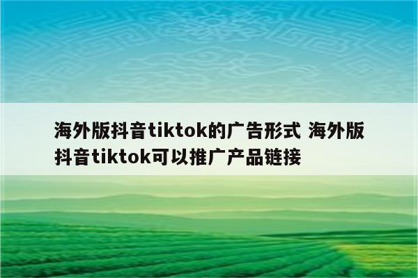 海外版抖音tiktok的广告形式 海外版抖音tiktok可以推广产品链接