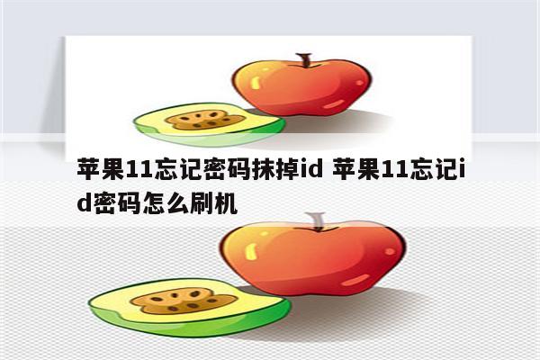 苹果11忘记密码抹掉id 苹果11忘记id密码怎么刷机