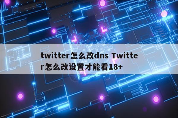 twitter怎么改dns Twitter怎么改设置才能看18+