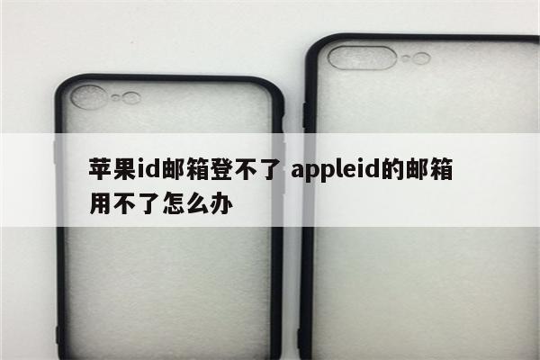 苹果id邮箱登不了 appleid的邮箱用不了怎么办