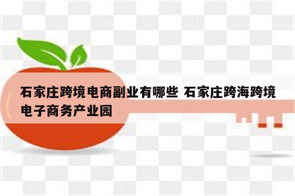 石家庄跨境电商副业有哪些 石家庄跨海跨境电子商务产业园