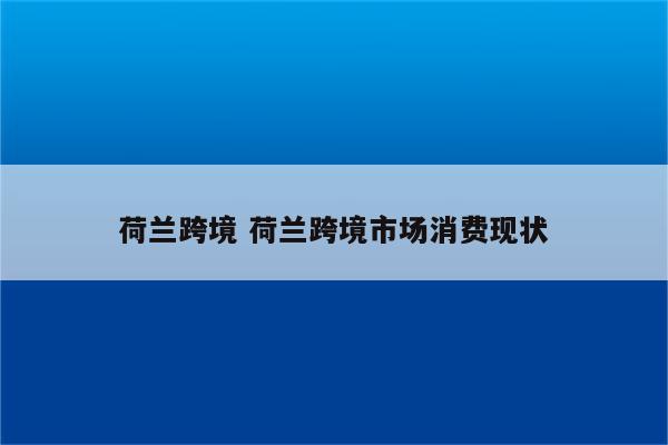 荷兰跨境 荷兰跨境市场消费现状