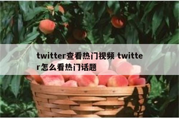 twitter查看热门视频 twitter怎么看热门话题