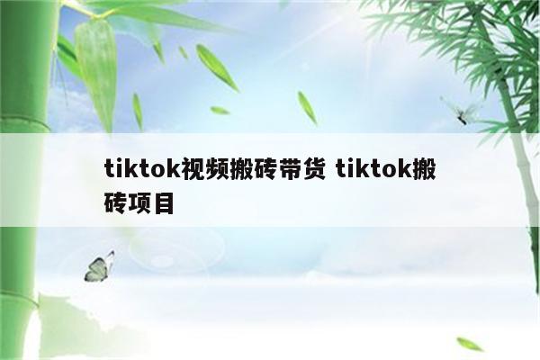 tiktok视频搬砖带货 tiktok搬砖项目