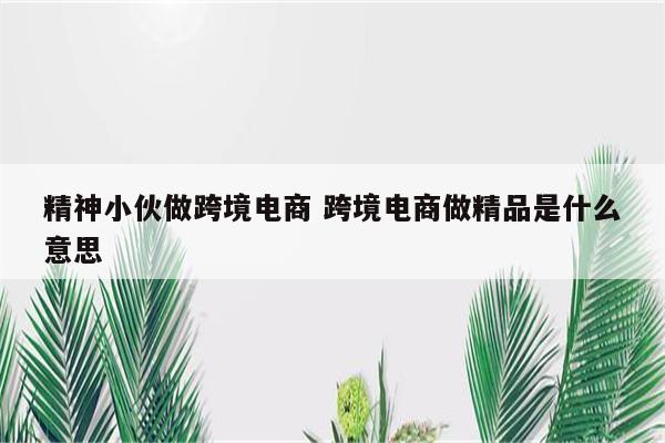 精神小伙做跨境电商 跨境电商做精品是什么意思