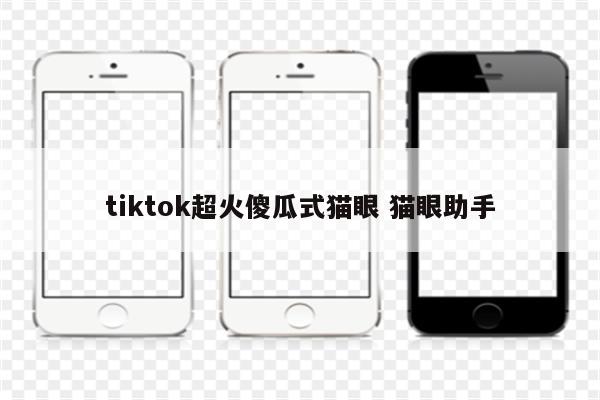 tiktok超火傻瓜式猫眼 猫眼助手