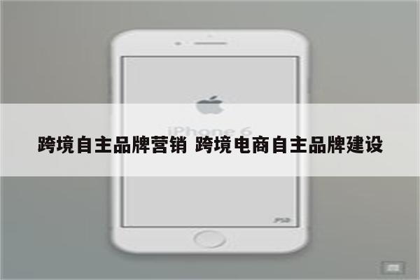 跨境自主品牌营销 跨境电商自主品牌建设