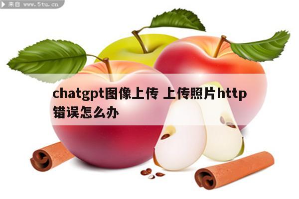 chatgpt图像上传 上传照片http错误怎么办