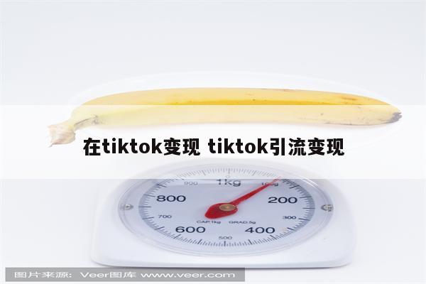 在tiktok变现 tiktok引流变现