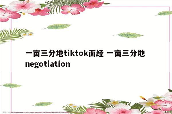 一亩三分地tiktok面经 一亩三分地 negotiation