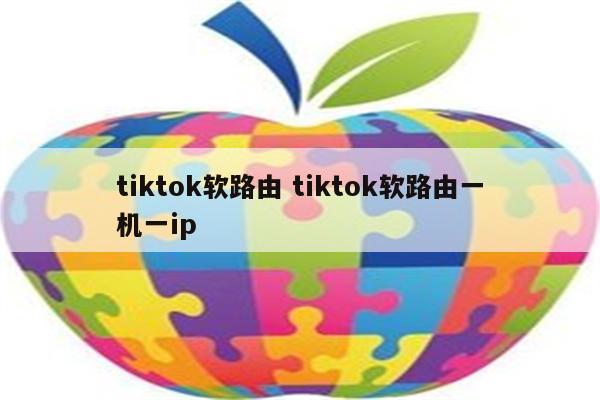 tiktok软路由 tiktok软路由一机一ip