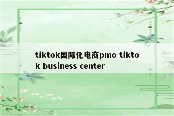 tiktok国际化电商pmo tiktok business center