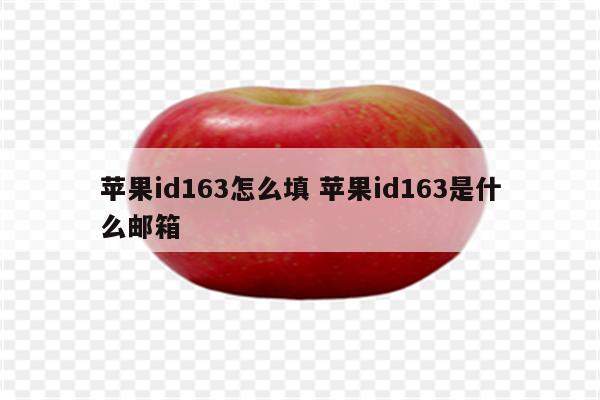 苹果id163怎么填 苹果id163是什么邮箱