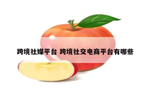 跨境社媒平台 跨境社交电商平台有哪些