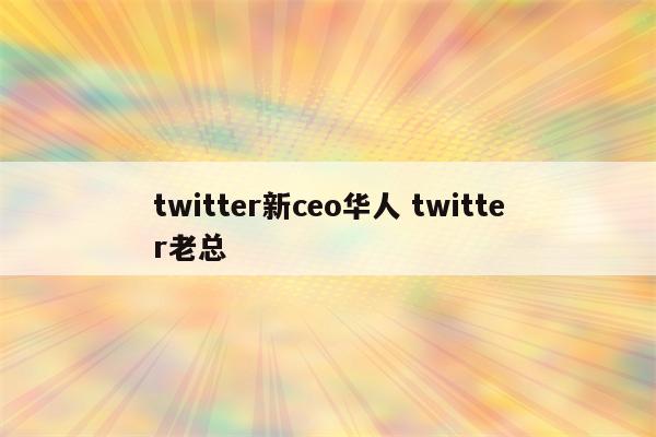 twitter新ceo华人 twitter老总