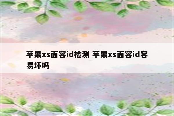 苹果xs面容id检测 苹果xs面容id容易坏吗