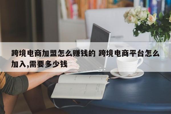 跨境电商加盟怎么赚钱的 跨境电商平台怎么加入,需要多少钱