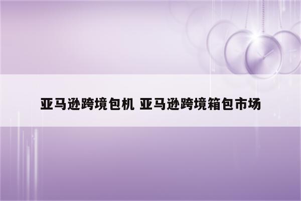 亚马逊跨境包机 亚马逊跨境箱包市场