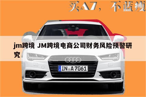 jm跨境 JM跨境电商公司财务风险预警研究