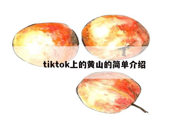 tiktok上的黄山的简单介绍