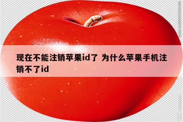 现在不能注销苹果id了 为什么苹果手机注销不了id