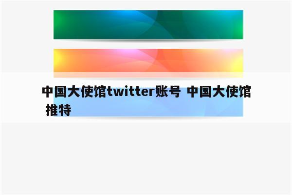 中国大使馆twitter账号 中国大使馆 推特