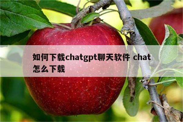 如何下载chatgpt聊天软件 chat怎么下载