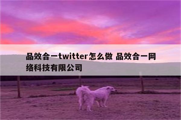 品效合一twitter怎么做 品效合一网络科技有限公司