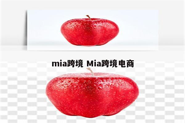 mia跨境 Mia跨境电商