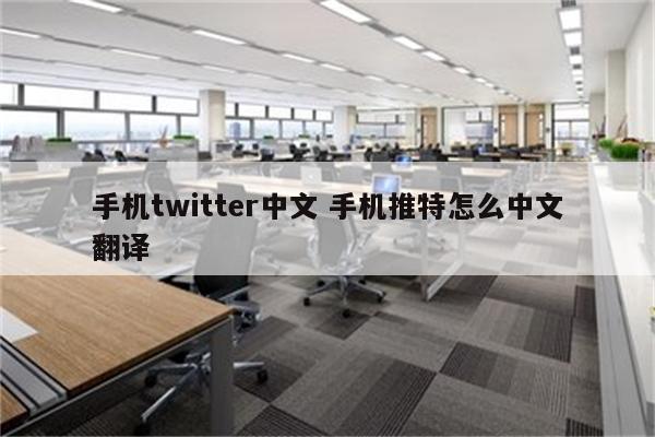 手机twitter中文 手机推特怎么中文翻译